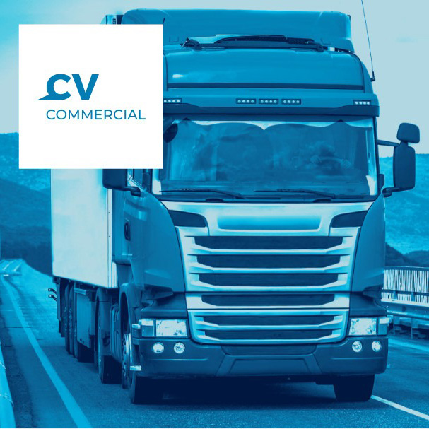 Jaltest CV Diagnostic Kit | Commercial Vehicle Scanner